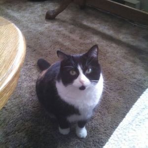 Meet your Posher, Sharon